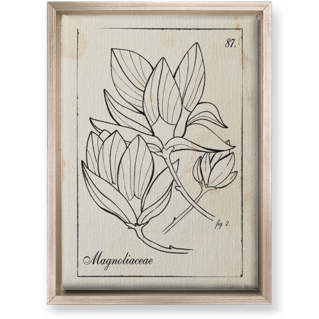Vintage Plate Magnolia Sketch - Beige and Black Wall Art, Metallic, Single piece, Canvas, 10x14, Beige