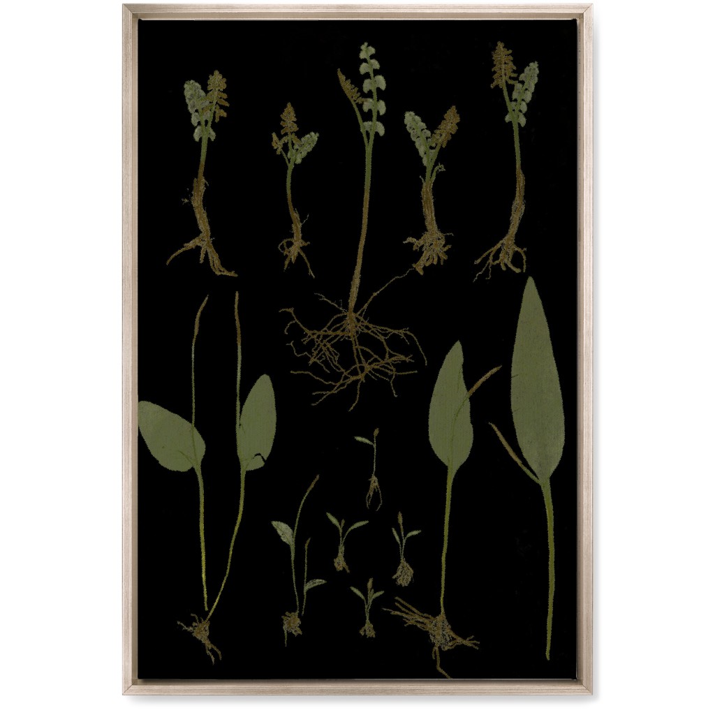 Botanicals At Midnight - Black and Green Wall Art, Metallic, Single piece, Canvas, 20x30, Black