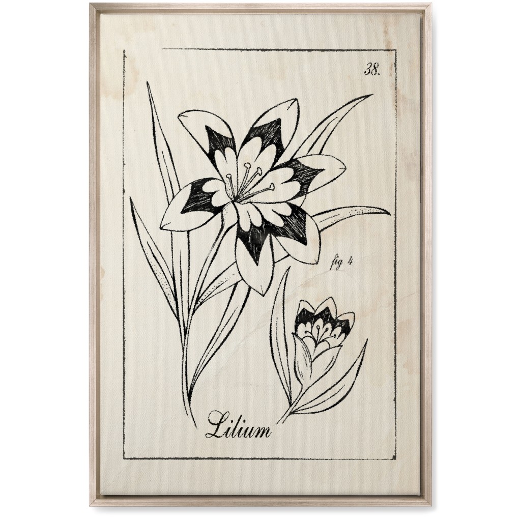 Vintage Plate Lily Sketch - Beige and Black Wall Art, Metallic, Single piece, Canvas, 20x30, Beige