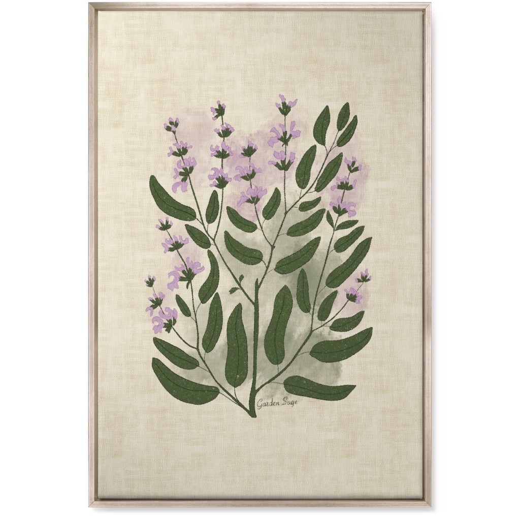 Garden Sage Botanical Illustration Wall Art, Metallic, Single piece, Canvas, 24x36, Beige