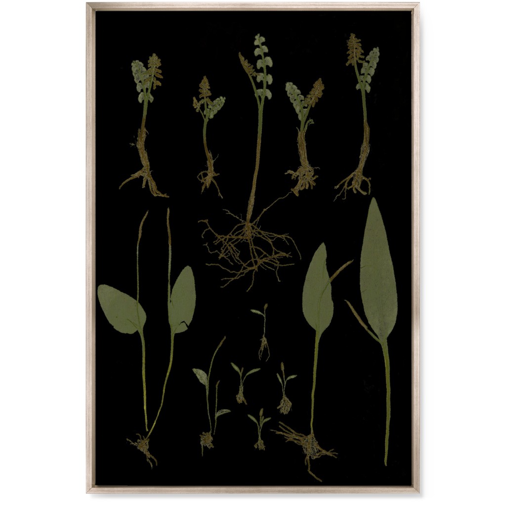 Botanicals At Midnight - Black and Green Wall Art, Metallic, Single piece, Canvas, 24x36, Black