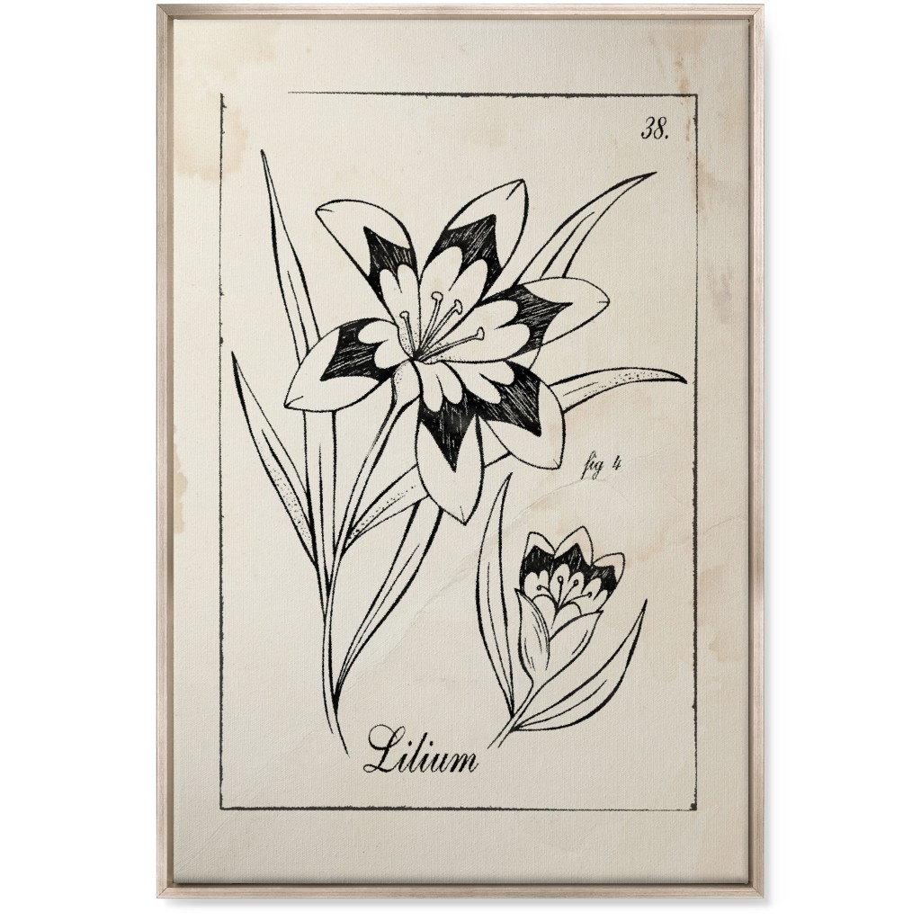 Vintage Plate Lily Sketch - Beige and Black Wall Art, Metallic, Single piece, Canvas, 24x36, Beige, Pearl