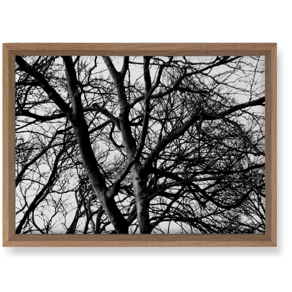 Tree Lace - Neutral Wall Art, Natural, Single piece, Canvas, 10x14, Black