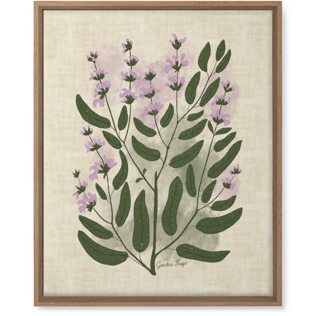 Garden Sage Botanical Illustration Wall Art, Natural, Single piece, Canvas, 16x20, Beige