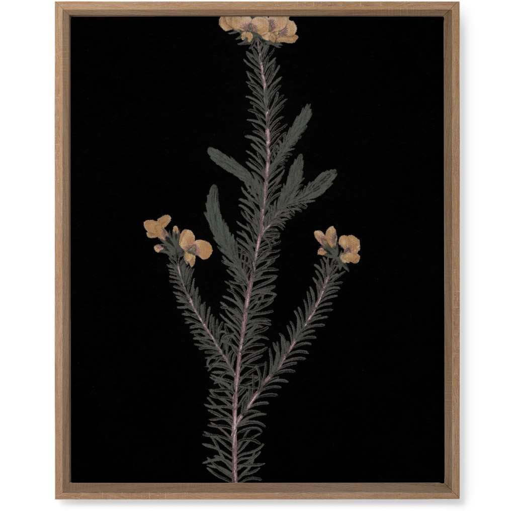 Midnight Botanical - Black and Green Wall Art, Natural, Single piece, Canvas, 16x20, Black