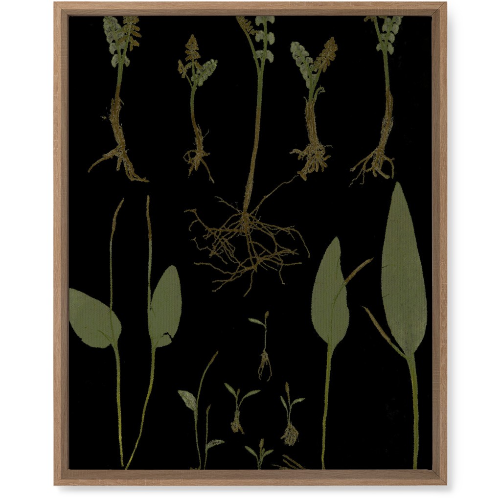 Botanicals At Midnight - Black and Green Wall Art, Natural, Single piece, Canvas, 16x20, Black, Black