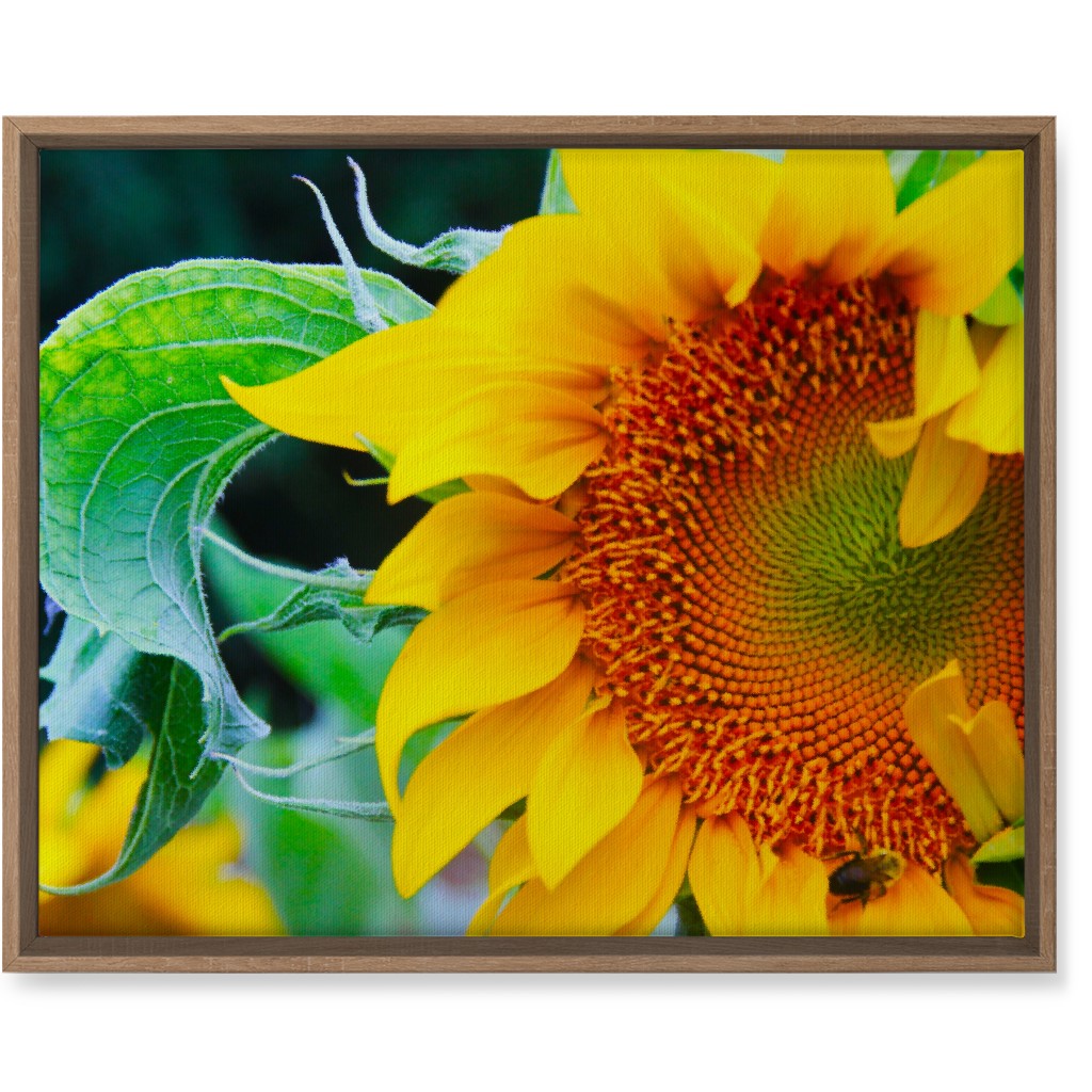 Big Sunflower - Yellow Wall Art, Natural, Single piece, Canvas, 16x20, Yellow