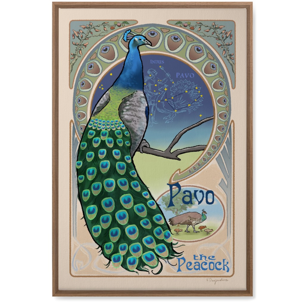 Pavo the Peacock Wall Art, Natural, Single piece, Canvas, 20x30, Multicolor