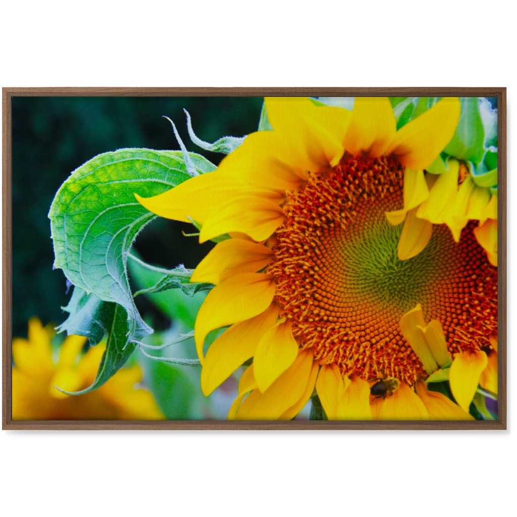 Big Sunflower - Yellow Wall Art, Natural, Single piece, Canvas, 24x36, Yellow