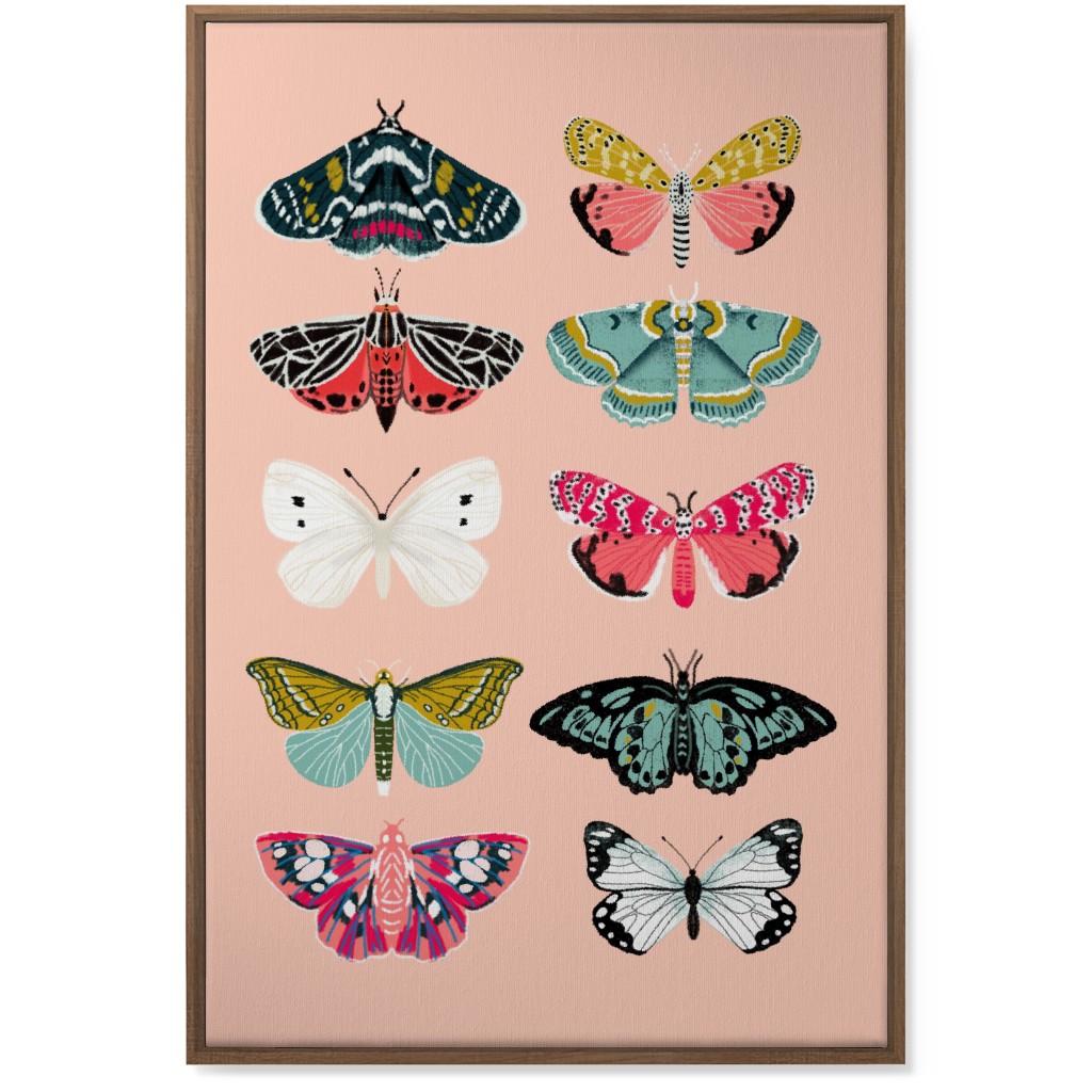 Moths & Butterflies Botanic Nature - Multi on Pink Wall Art, Natural, Single piece, Canvas, 24x36, Multicolor
