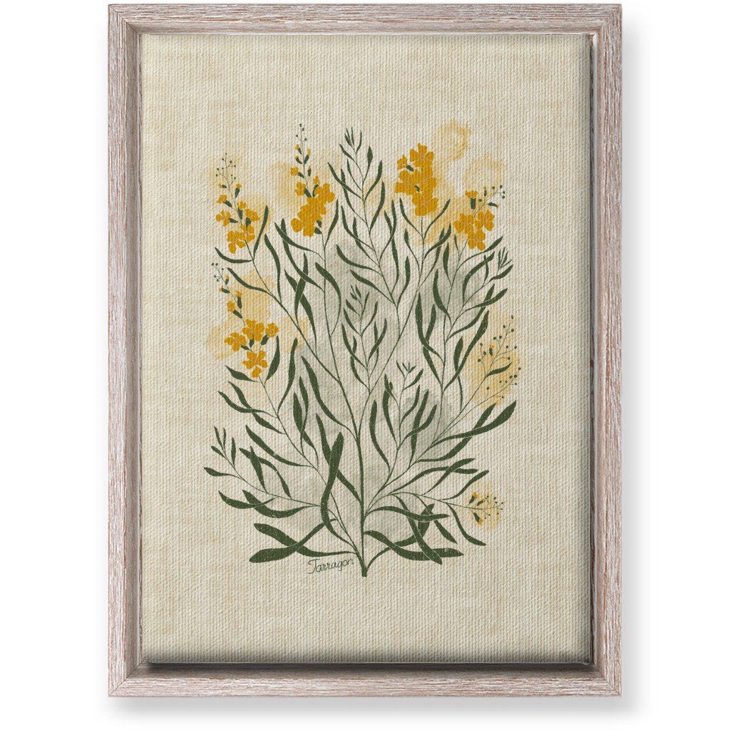 Tarragon - Botanical Illustration Wall Art, Rustic, Single piece, Canvas, 10x14, Beige, Pearl