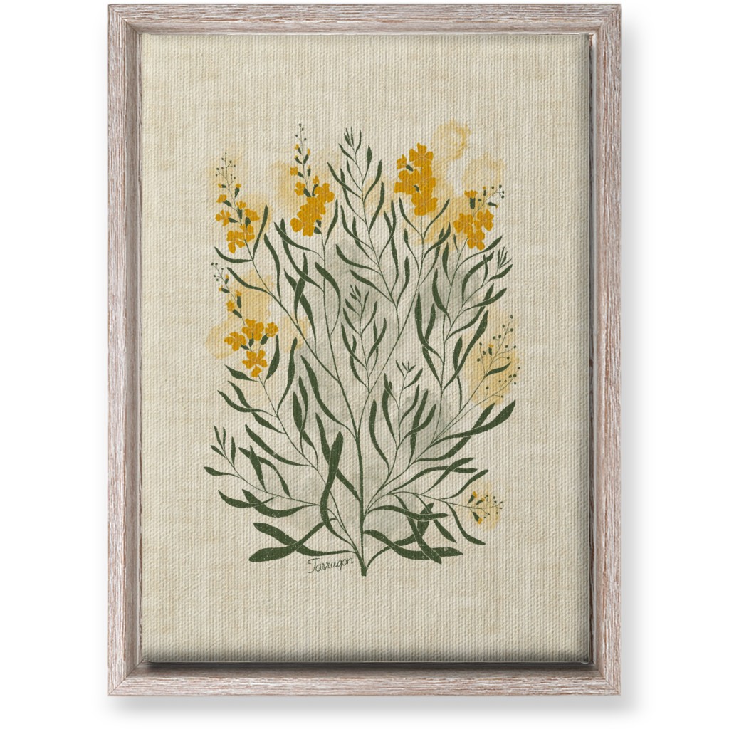 Tarragon - Botanical Illustration Wall Art, Rustic, Single piece, Canvas, 10x14, Beige