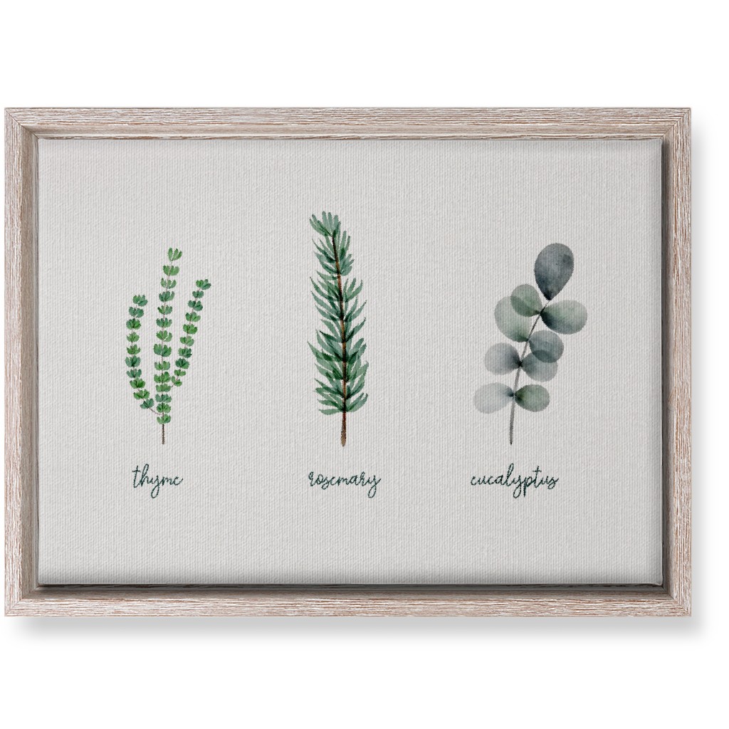 Watercolor Botanicals - Green Wall Art, Rustic, Single piece, Canvas, 10x14, Green, Classic Green