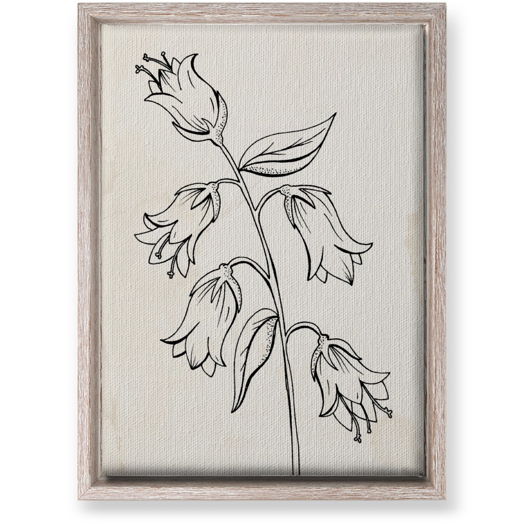 Vintage Bell Flower Sketch - Beige and Black Wall Art, Rustic, Single piece, Canvas, 10x14, Beige, Pearl