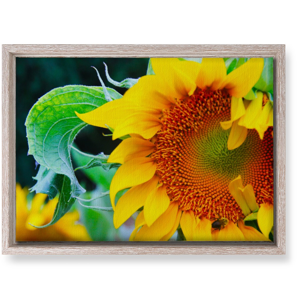 Big Sunflower - Yellow Wall Art, Rustic, Single piece, Canvas, 10x14, Yellow