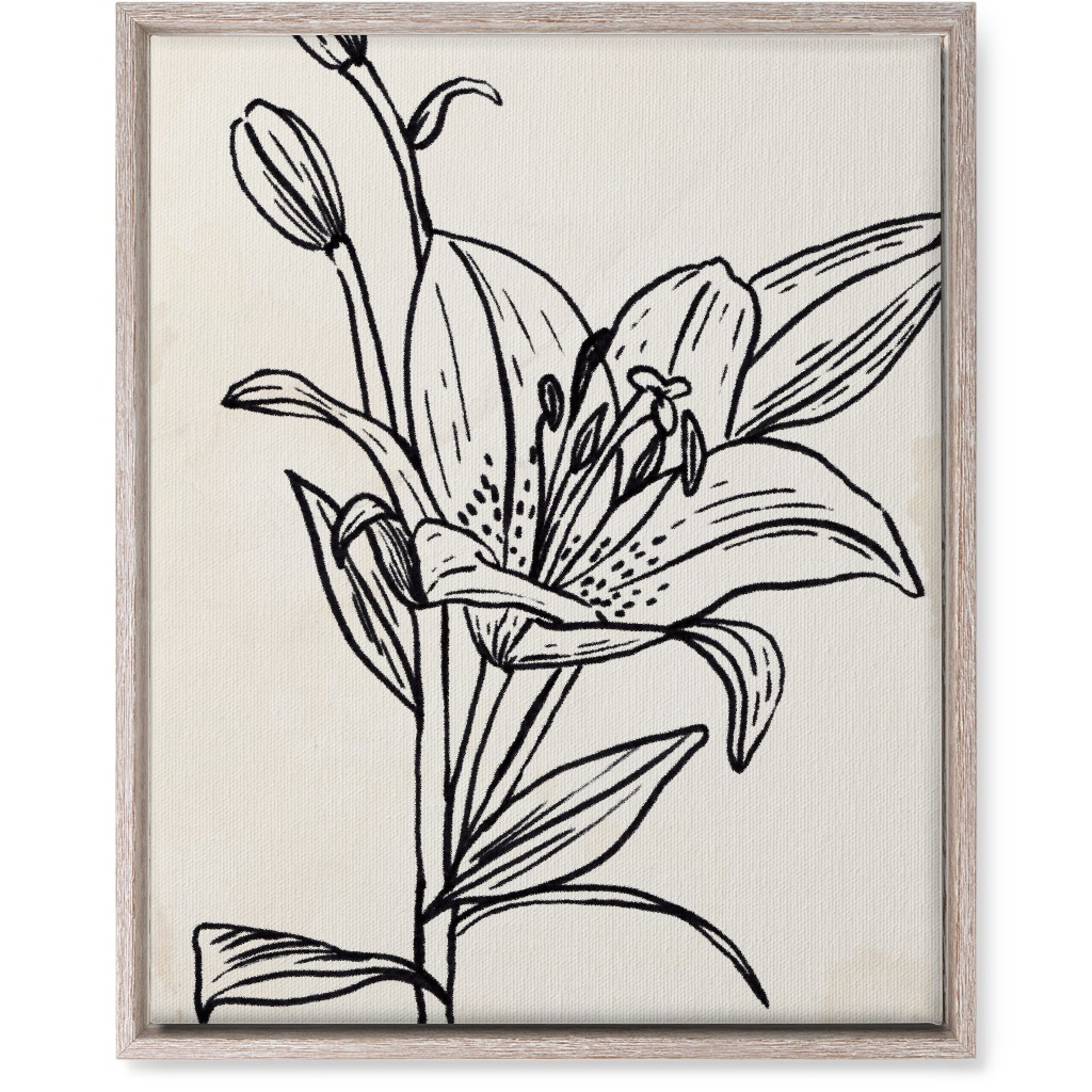 Vintage Lily Sketch - Beige and Black Wall Art, Rustic, Single piece, Canvas, 16x20, Beige