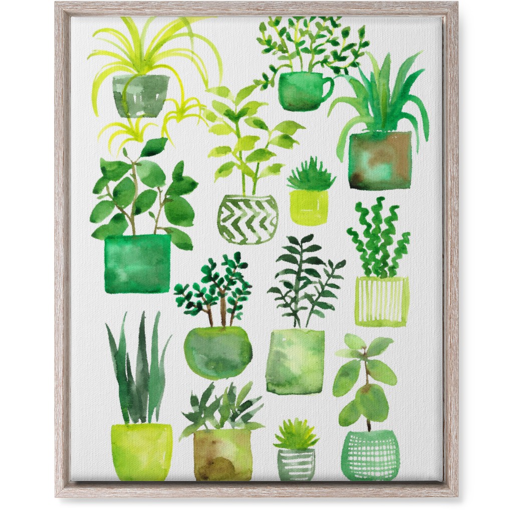 House Plants - Green Wall Art, Rustic, Single piece, Canvas, 16x20, Green