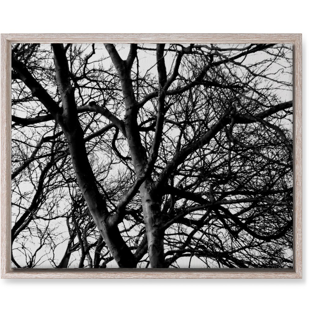 Tree Lace - Neutral Wall Art, Rustic, Single piece, Canvas, 16x20, Black