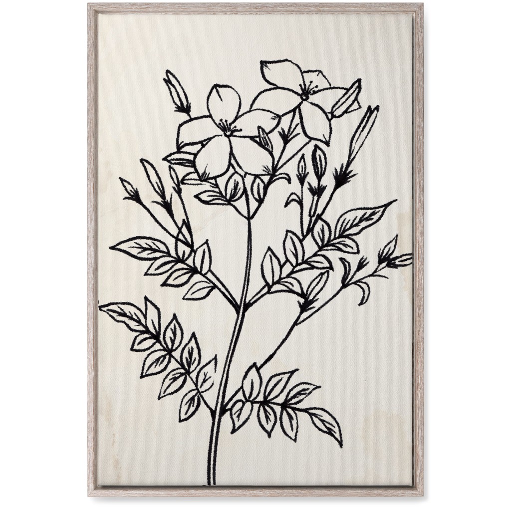 Vintage Jasmine Sketch - Beige and Black Wall Art, Rustic, Single piece, Canvas, 20x30, Beige, Pearl
