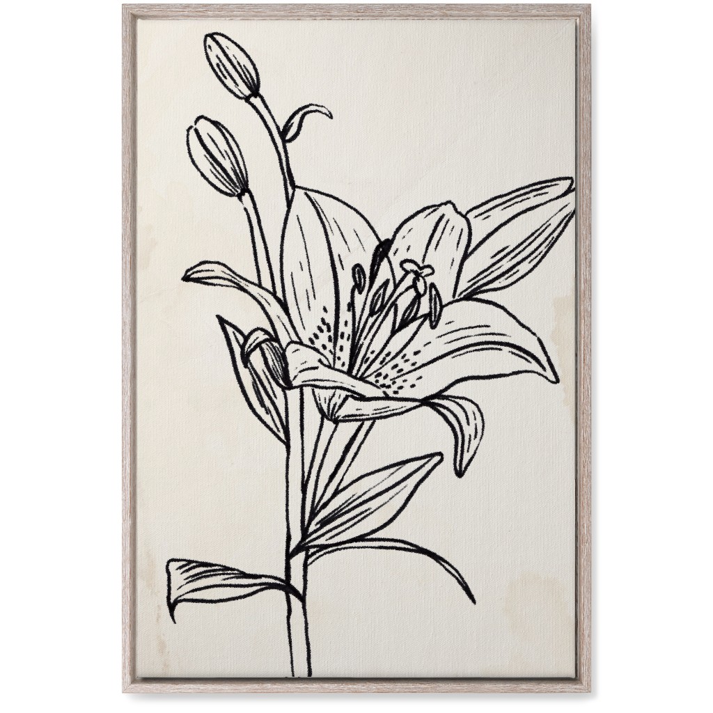 Vintage Lily Sketch - Beige and Black Wall Art, Rustic, Single piece, Canvas, 20x30, Beige