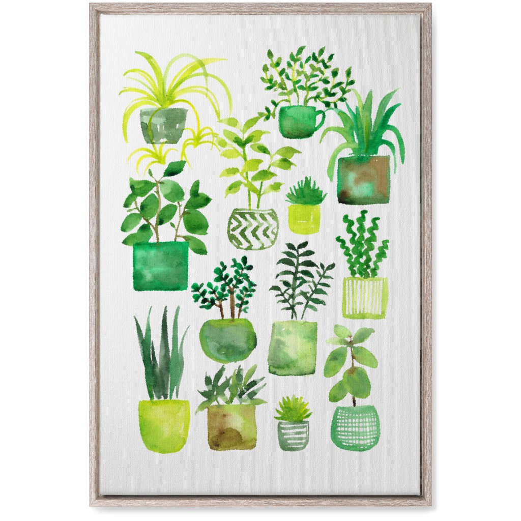 House Plants - Green Wall Art, Rustic, Single piece, Canvas, 20x30, Green
