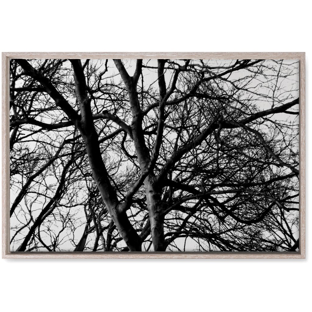 Tree Lace - Neutral Wall Art, Rustic, Single piece, Canvas, 20x30, Black