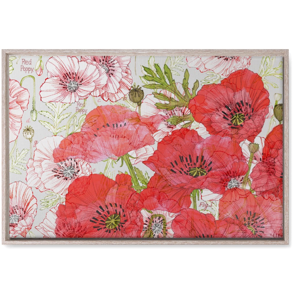 Poppies Romance - Red Wall Art, Rustic, Single piece, Canvas, 20x30, Red