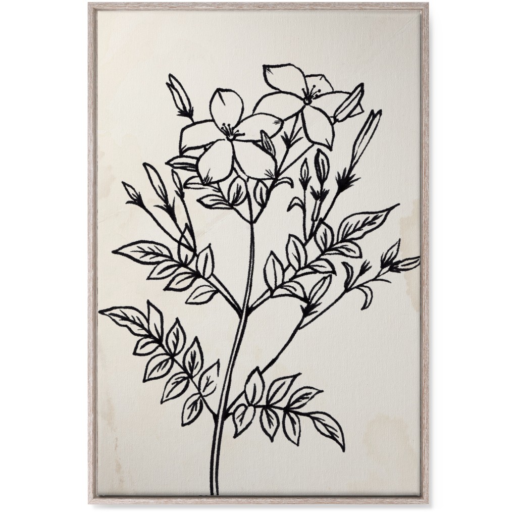Vintage Jasmine Sketch - Beige and Black Wall Art, Rustic, Single piece, Canvas, 24x36, Beige, Pearl