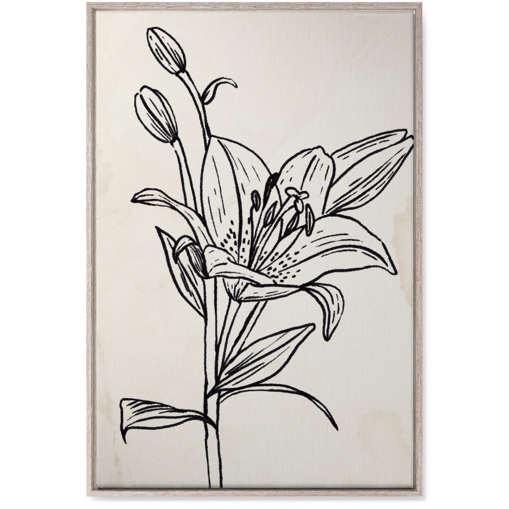 Vintage Lily Sketch - Beige and Black Wall Art, Rustic, Single piece, Canvas, 24x36, Beige, Pearl