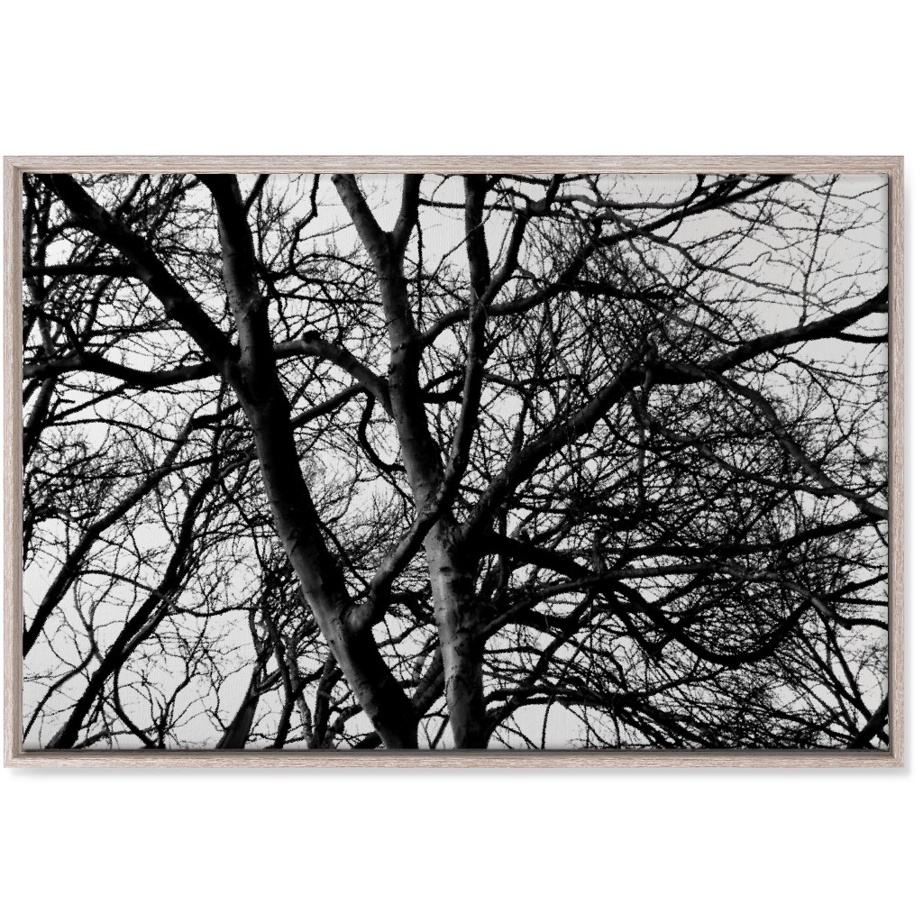 Tree Lace - Neutral Wall Art, Rustic, Single piece, Canvas, 24x36, Black, Black