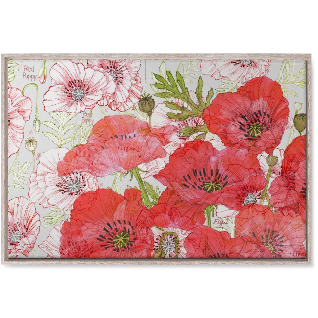 Poppies Romance - Red Wall Art, Rustic, Single piece, Canvas, 24x36, Red