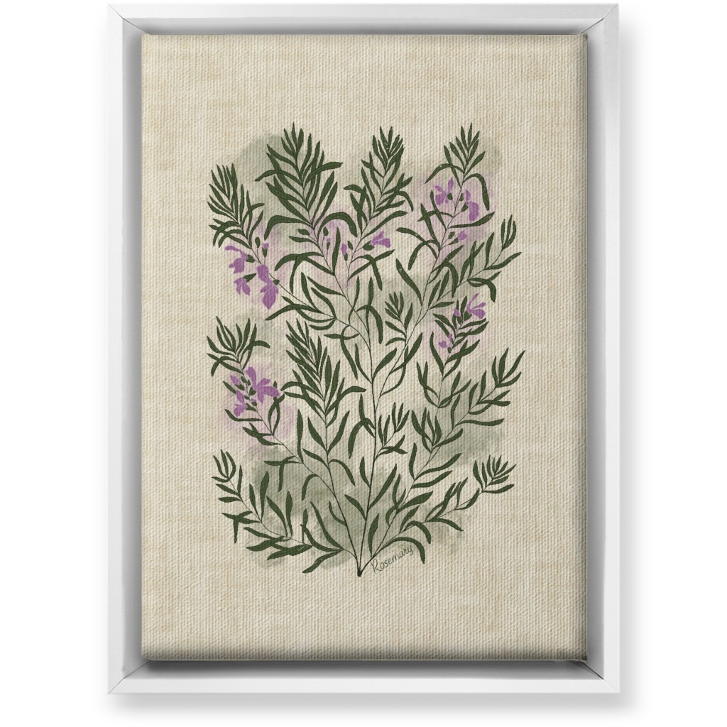 Rosemary - Botanical Illustration Wall Art, White, Single piece, Canvas, 10x14, Beige