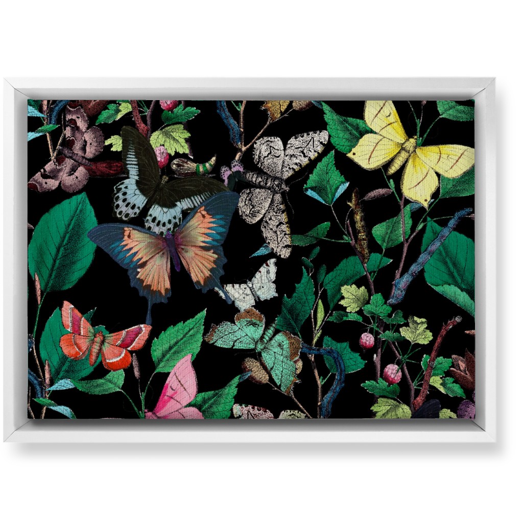 Butterfly Sanctuary - Bright on Black Wall Art, White, Single piece, Canvas, 10x14, Multicolor