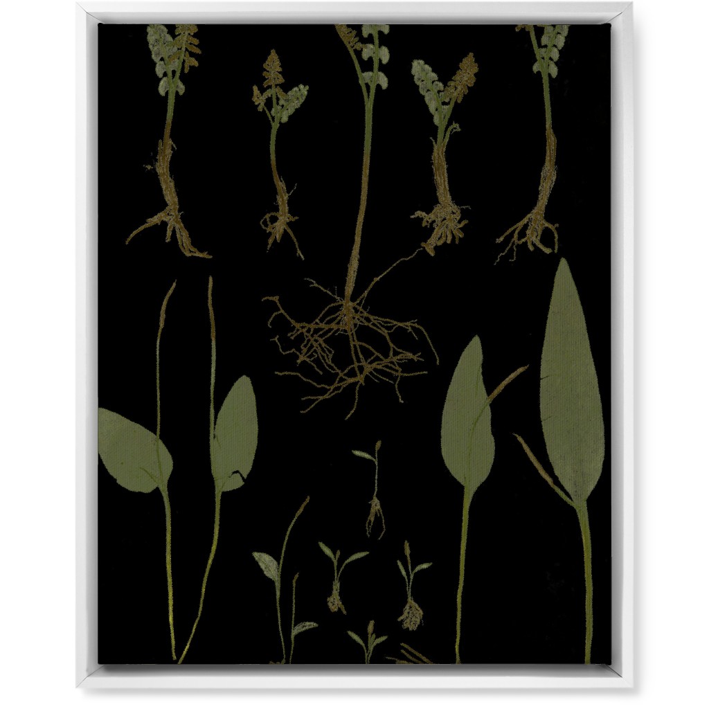 Botanicals At Midnight - Black and Green Wall Art, White, Single piece, Canvas, 16x20, Black, Black