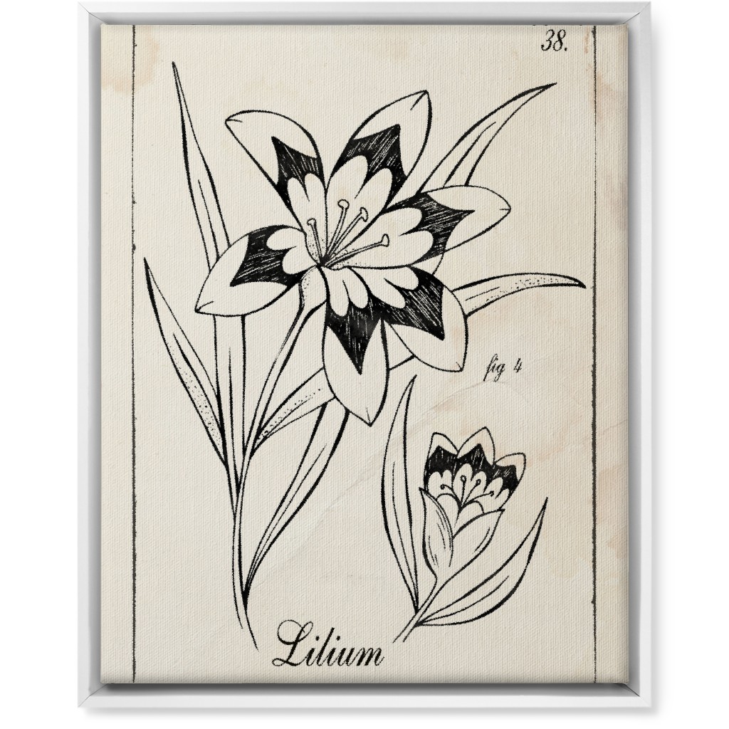 Vintage Plate Lily Sketch - Beige and Black Wall Art, White, Single piece, Canvas, 16x20, Beige