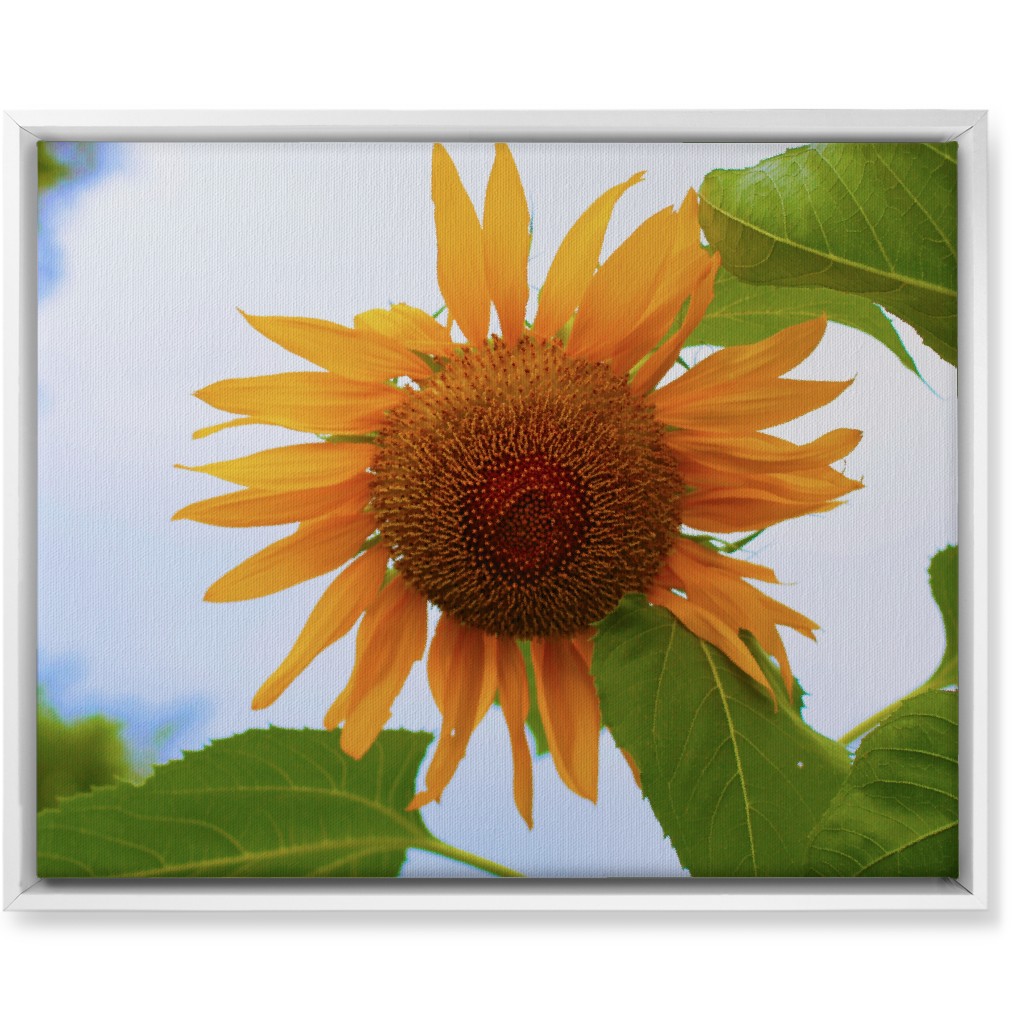 Sunny Sunflower - Yellow Wall Art, White, Single piece, Canvas, 16x20, Yellow, Classic Yellow