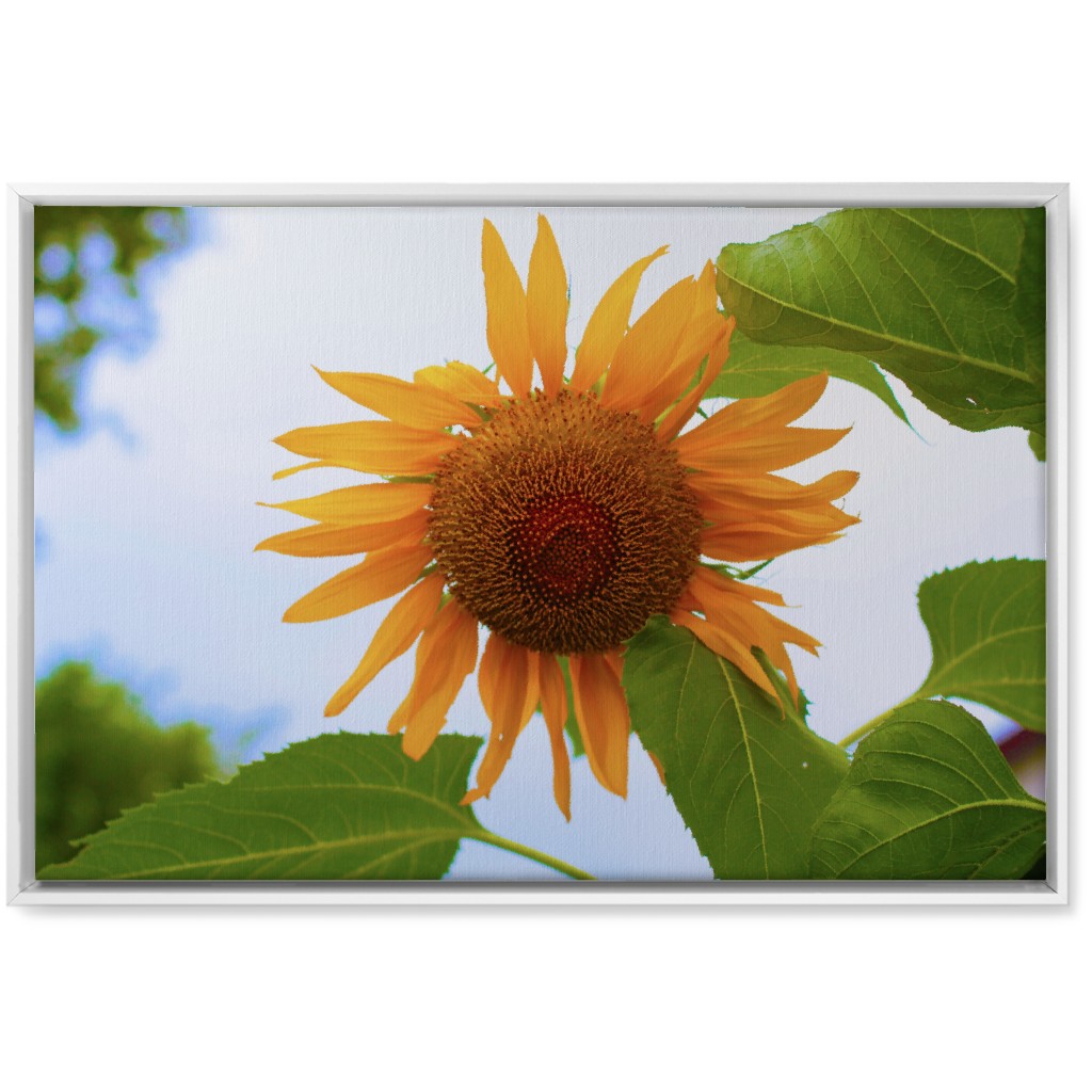 Sunny Sunflower - Yellow Wall Art, White, Single piece, Canvas, 20x30, Yellow
