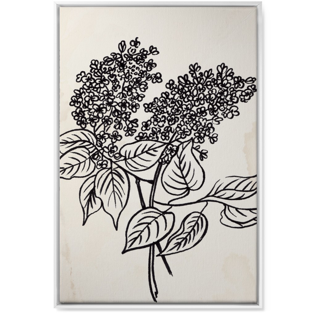 Vintage Lilac Sketch - Beige and Black Wall Art, White, Single piece, Canvas, 24x36, Beige