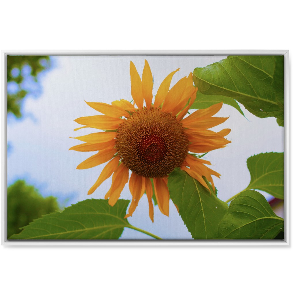 Sunny Sunflower - Yellow Wall Art, White, Single piece, Canvas, 24x36, Yellow