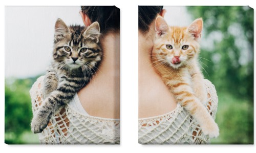 Two Across 16x20 Spread Canvas Prints, No Frame, Multi piece, Multicolor, Multi