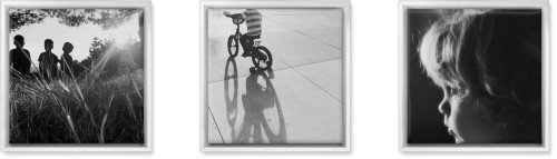 Three Square 12x12 Canvas Prints, White, Multi piece, Multicolor, Multi