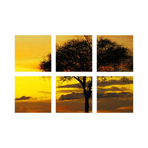 Symmetrical Six Spread Mounted Wall Art Home Decor Shutterfly