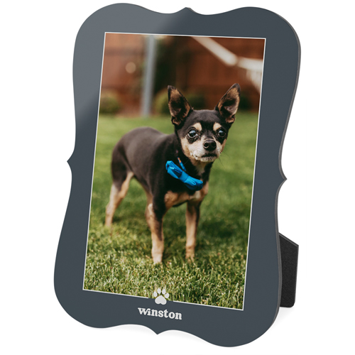 Paw Border Desktop Plaque, Bracket, 5x7, Gray, gray