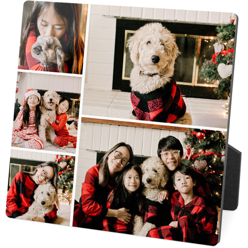 Gallery of Five Portrait Desktop Plaque, Rectangle, 5x5, Multicolor