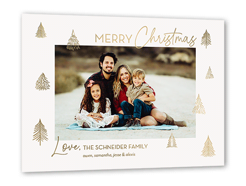 Scattered Trees Holiday Card, Grey, Gold Foil, 5x7, Christmas, Matte, Personalized Foil Cardstock, Square, Whisper Gray