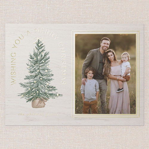 Small Sapling Holiday Card, White, Gold Foil, 6x8, Christmas, Matte, Personalized Foil Cardstock, Square, White