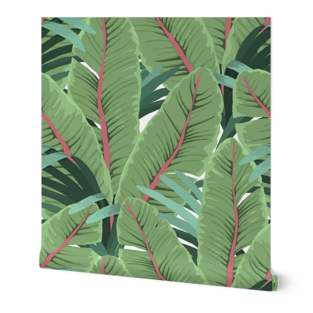 Tropical Banana Leaves - Dark Green Wallpaper, 2'x12', Prepasted Removable Smooth, Green