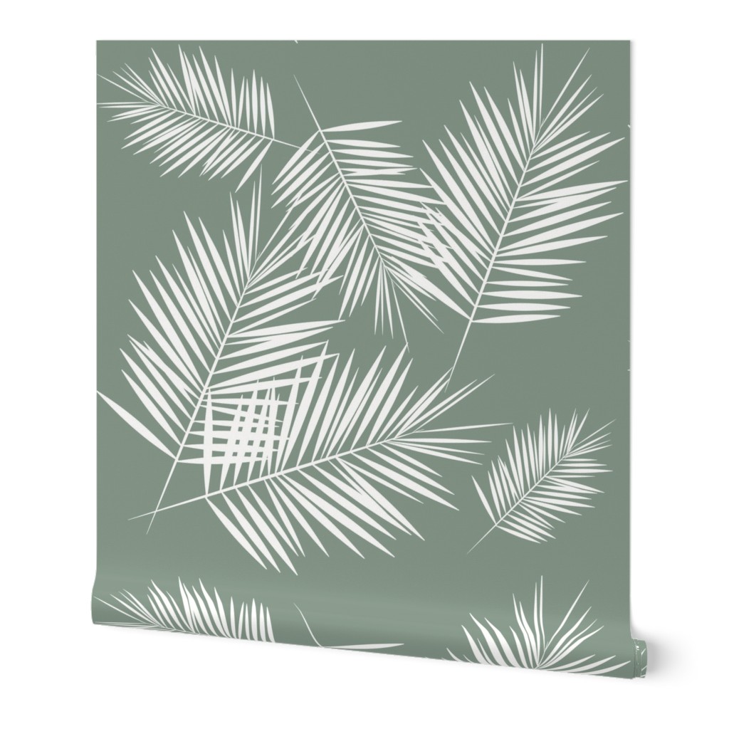Palm Leaf Wallpaper Shutterfly