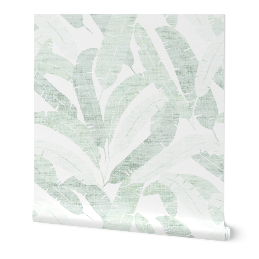 Banana Leaf - Light Wallpaper, 2'x12', Prepasted Removable Smooth, Green