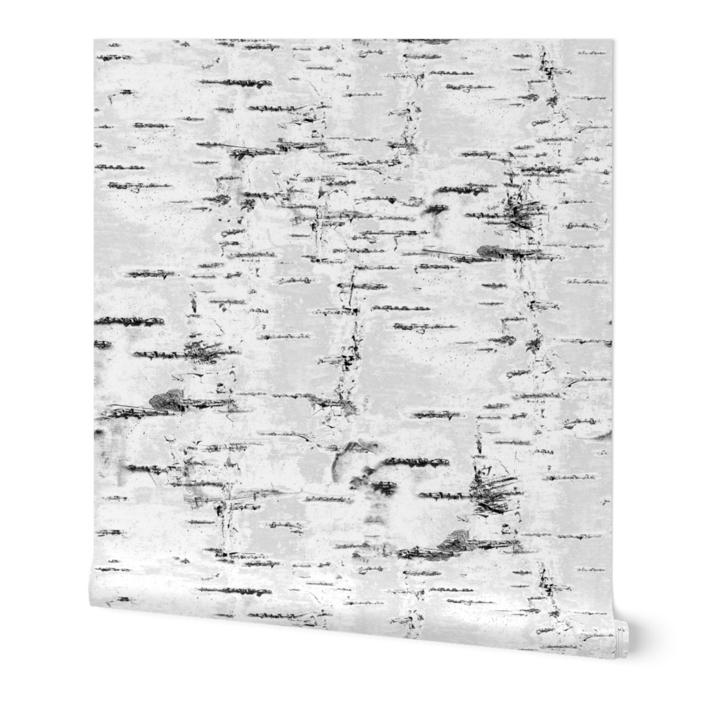 Birch Bark - White, Gray Wallpaper, 2'x3', Prepasted Removable Smooth, Gray